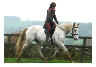 hannah frecks trot pic