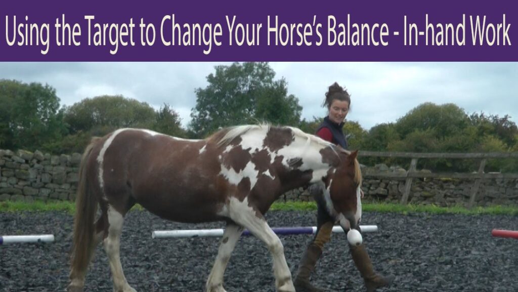 Using the Target to Change Your Horse’s Balance