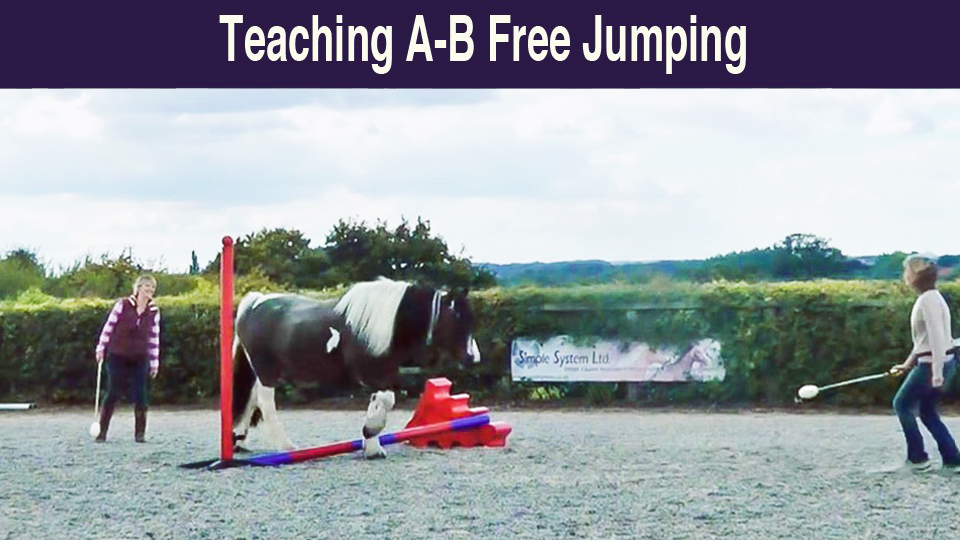 Teaching A-B Free Jumping