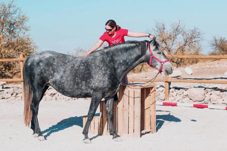 Kristen Vanderpool mounting block - - Ni Dhuinn Imagery - Connection Training - Cortijo de Segura