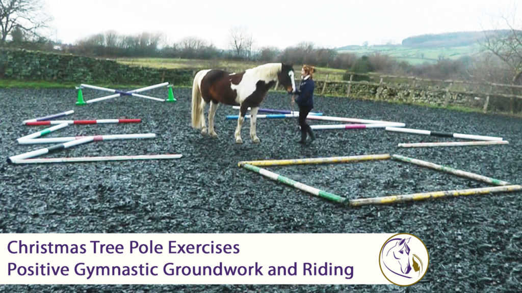 Christmas Tree Pole Exercises - Positive Gymnastic Groundwork and Riding