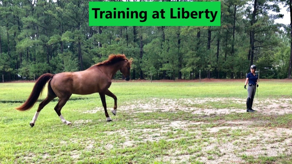 IMG_7392 liberty