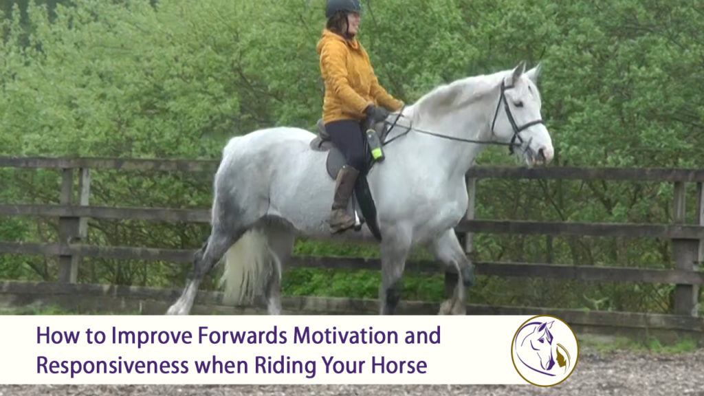 How to Improve Forwards Motivation and Responsiveness when Riding