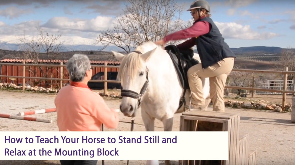 How to Teach Your Horse to Stand Still and Relax at the Mounting Block