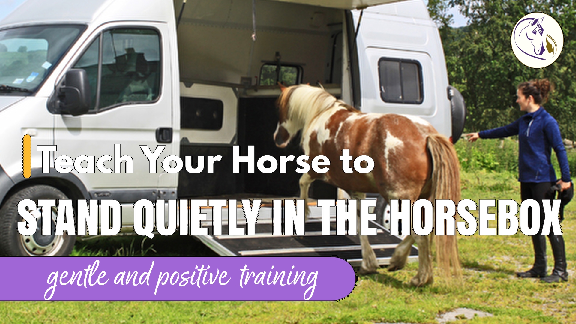 How to Teach Your Horse to Stand Quietly in the Horsebox
