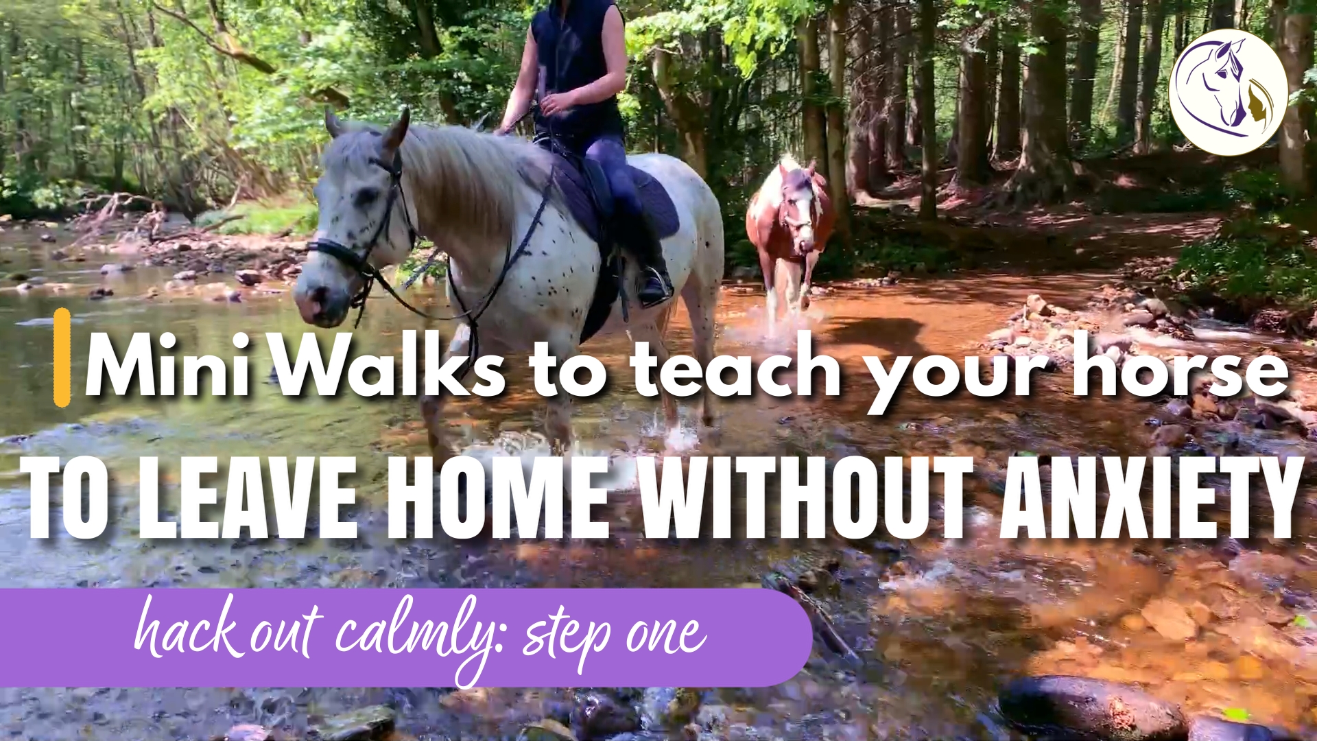 First exercise to teach your horse to lead or ride out CALMLY